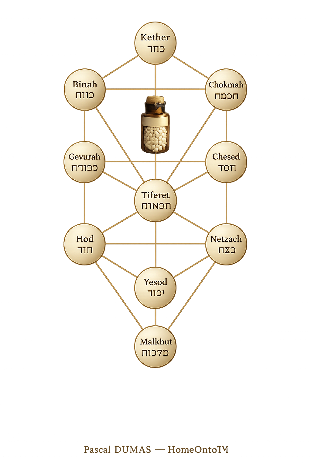 Arbre des Sephiroth — HoméOnto™ Pascal DUMAS